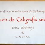 Sesion de carolingia